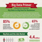 Big Data Primer Infographic